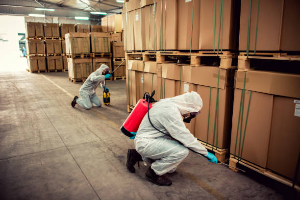 Best Bed Bug Extermination  in Zeigler, IL