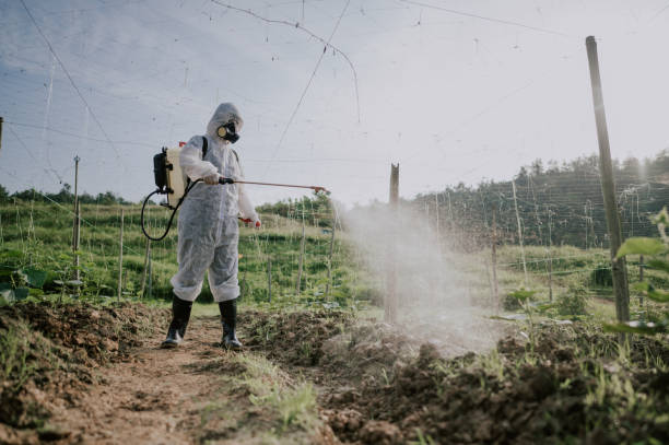 Best Mosquito Control Services  in Zeigler, IL