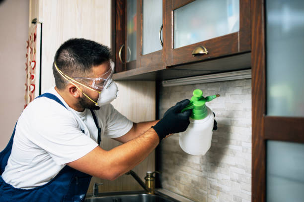 Best Residential Pest Control  in Zeigler, IL