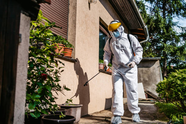 Best Residential Pest Control  in Zeigler, IL