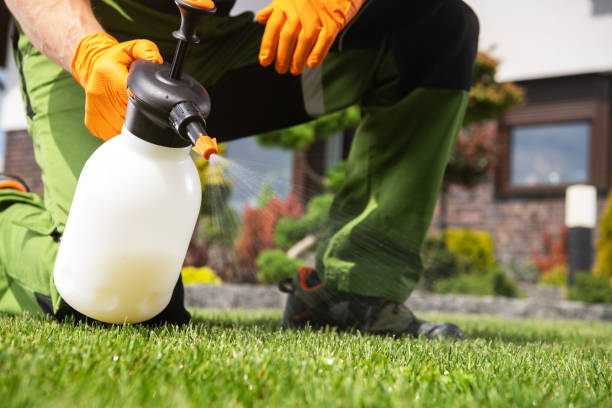 Best Pest Prevention Services  in Zeigler, IL