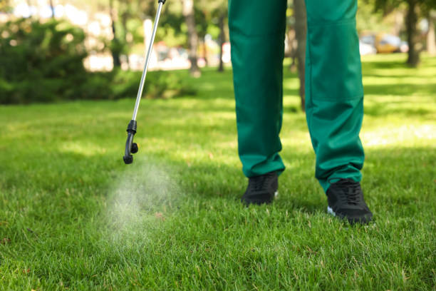 Trusted Zeigler, IL Pest Control Experts
