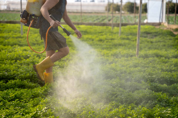 Pest Control Cost in Zeigler, IL