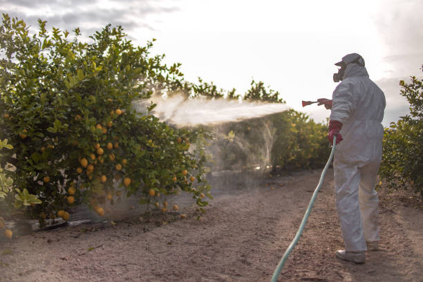 Best Flea Control Services  in Zeigler, IL