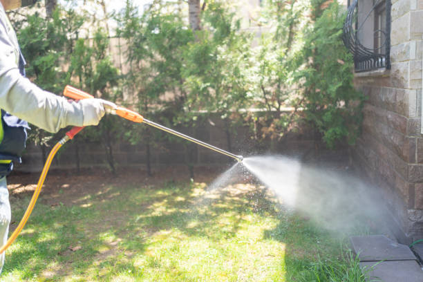 Best Pest Inspection Near Me  in Zeigler, IL