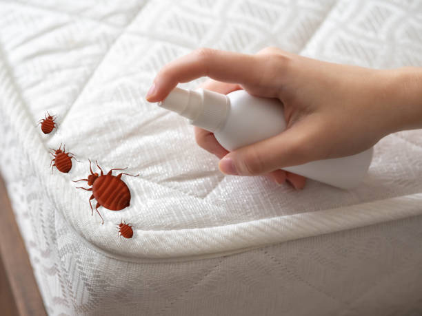 Pest Prevention Services in Zeigler, IL