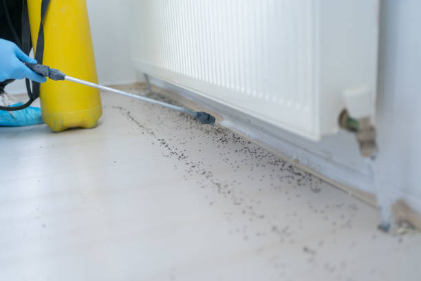 Best Pest Control for Restaurants  in Zeigler, IL