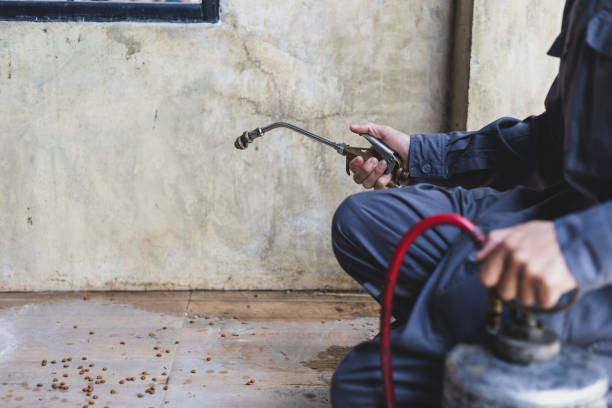 Pest Control for Restaurants in Zeigler, IL