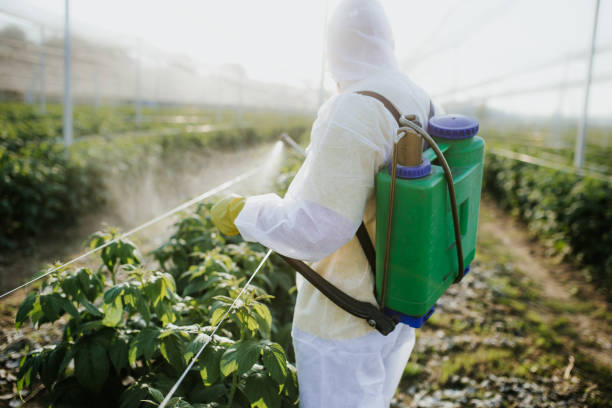 Best Emergency Pest Control  in Zeigler, IL